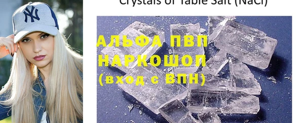 Альфа ПВП Беломорск